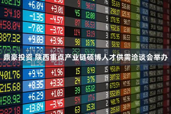 鼎豪投资 陕西重点产业链硕博人才供需洽谈会举办