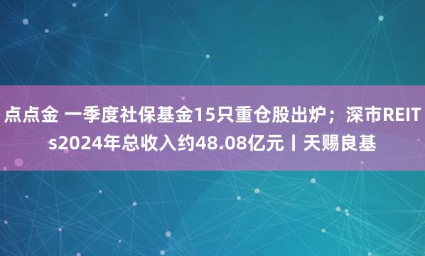 点点金 一季度社保基金15只重仓股出炉；深市REITs2024年总收入约48.08亿元丨天赐良基