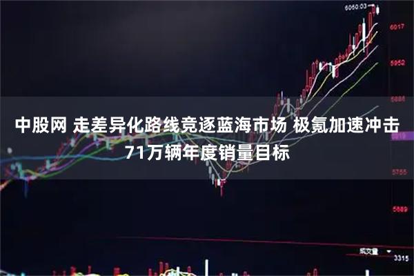 中股网 走差异化路线竞逐蓝海市场 极氪加速冲击71万辆年度销量目标