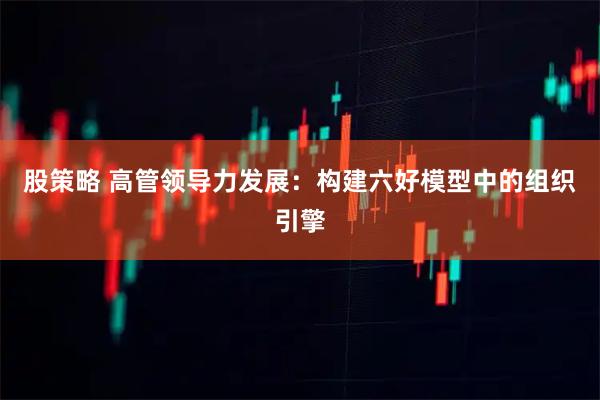 股策略 高管领导力发展：构建六好模型中的组织引擎