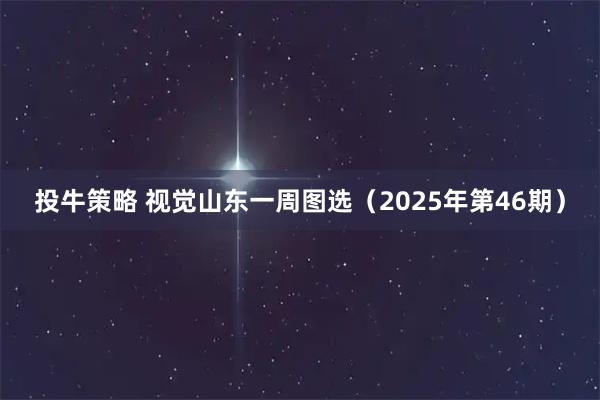 投牛策略 视觉山东一周图选（2025年第46期）